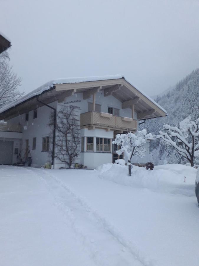 Haus-Claudia Apartman Viehhofen Kültér fotó