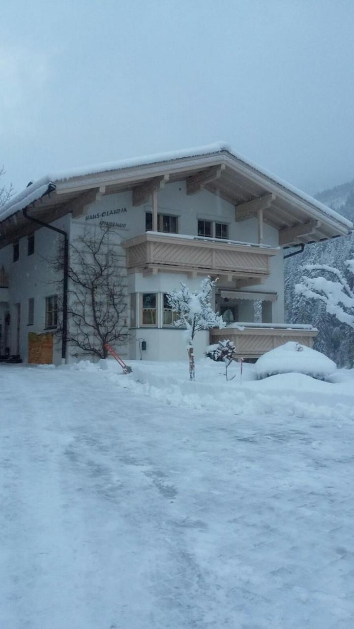 Haus-Claudia Apartman Viehhofen Kültér fotó